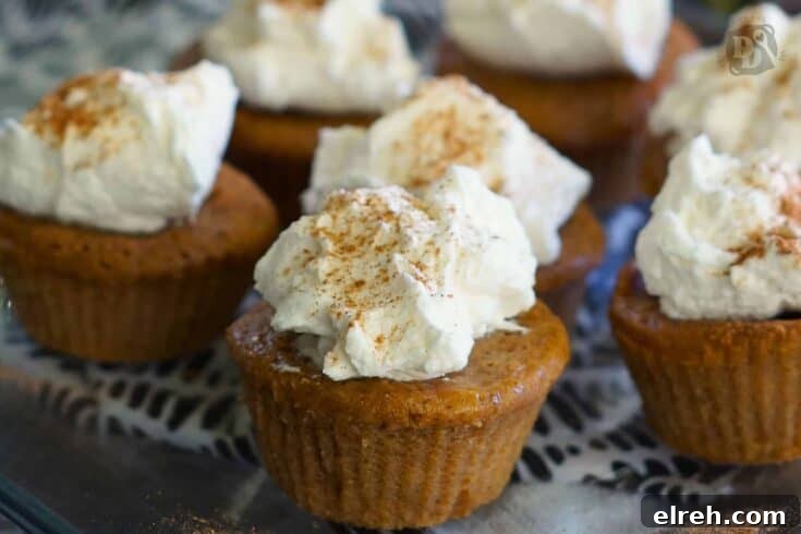 Mini Pumpkin Pie Cupcakes