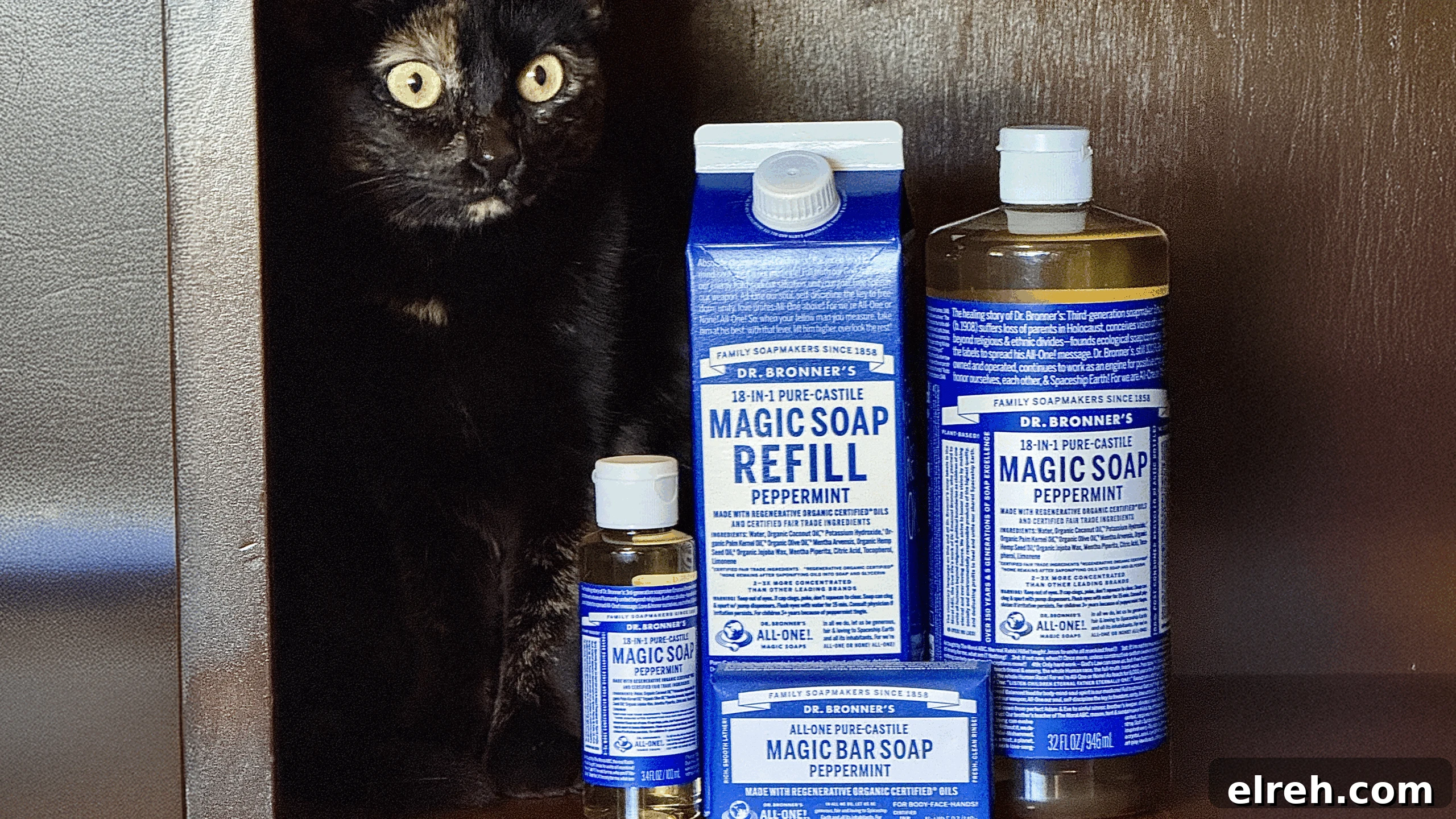 Dr. Bronner's Guide to Pet Care and Cleaning 10 Lisa's cat in the cupboard with Dr. Bronner's soap.