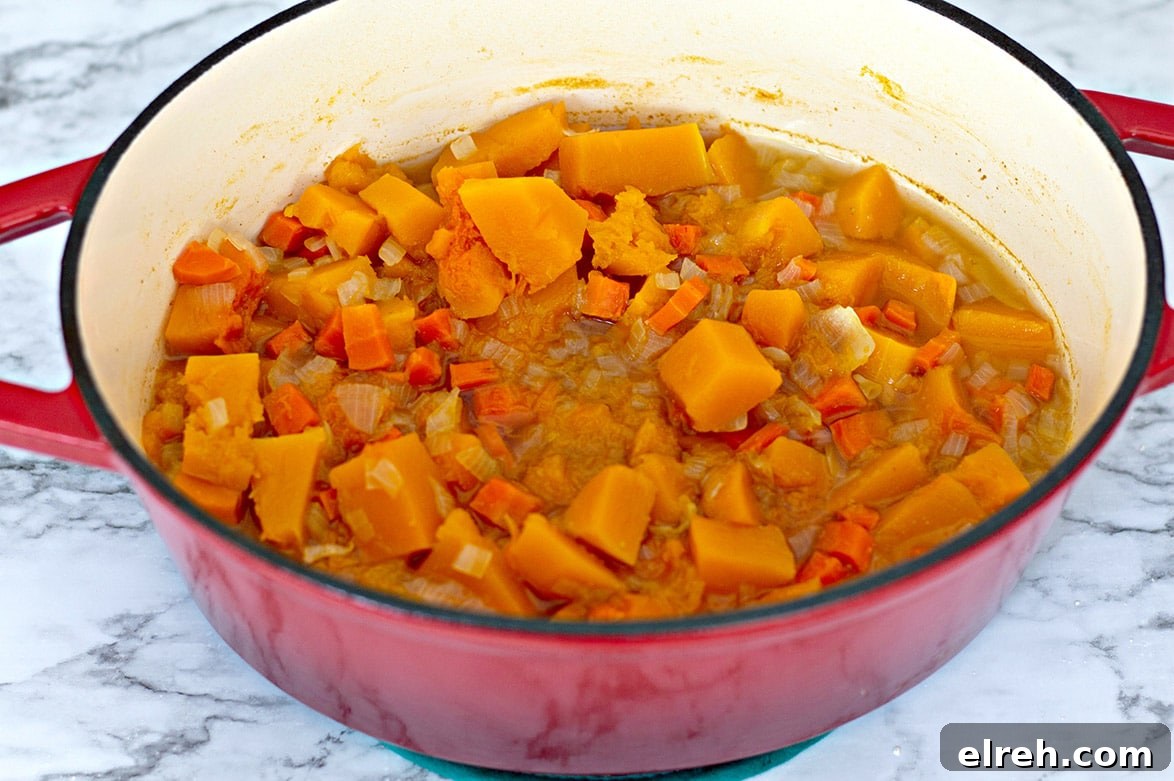 vegetables and chicken stock in a red dutch oven 