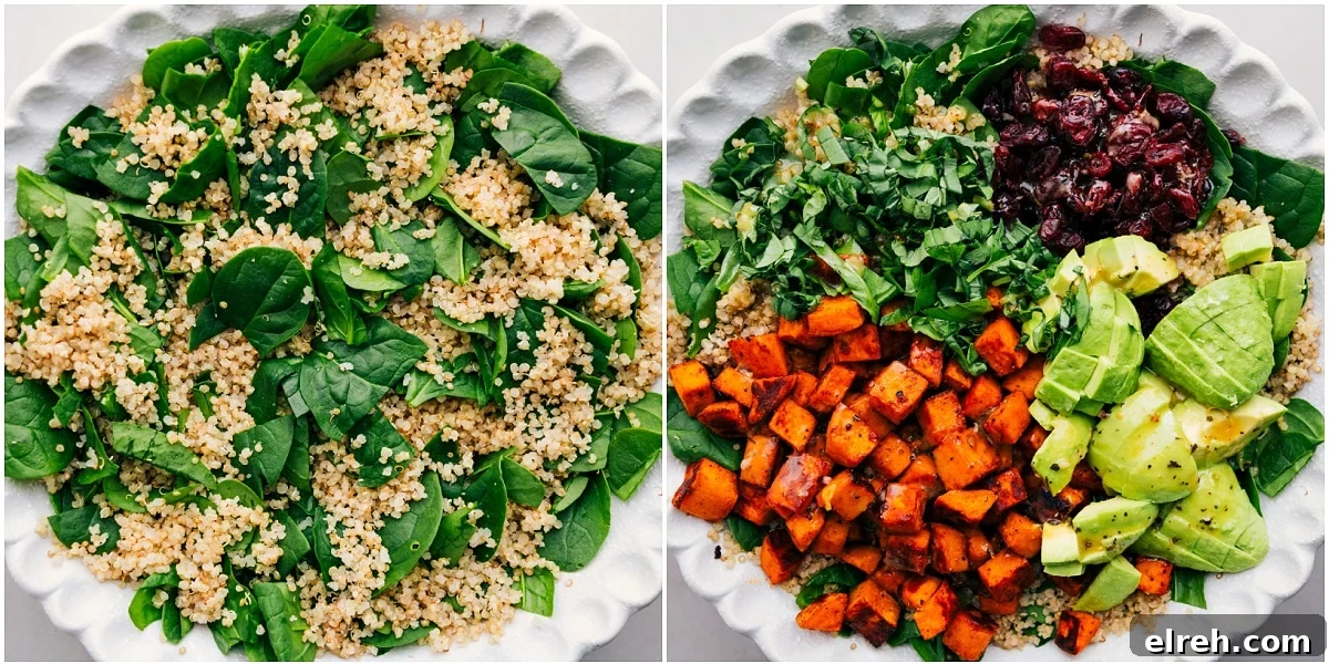 How To Make Sweet Potato Quinoa Salad Greens and quinoa mixed together, then topped with sweet potatoes, basil, avocado, cranberries, and dressing.